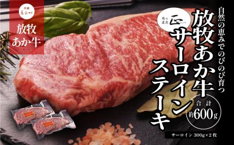 阿蘇うぶやま村の放牧あか牛サーロインステーキ《60日以内に出荷予定(土日祝除く)》---ubuyama_yns_20_600g---