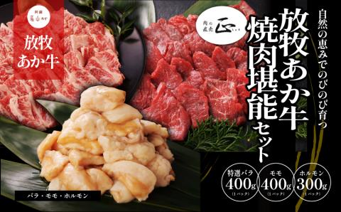 阿蘇うぶやま村の放牧あか牛焼肉堪能セット《60日以内に出荷予定(土日祝除く)》---ubuyama_yns_19_1100g---