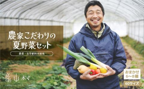 先行受付！7月中旬より順次発送》大地と共に生きよう おまかせ野菜セット【1人～2人用】: 産山村ANAのふるさと納税