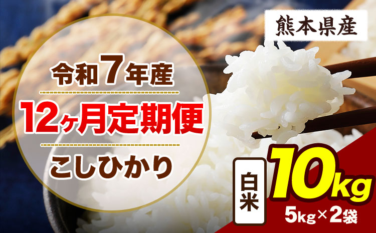 【12ヶ月定期便】令和7年産 定期便 こしひかり  10kg 白米 阿蘇 うぶやま 米 定期便 熊本県産 ふるさと納税 精米 ひの 米 こめ ふるさとのうぜい コシヒカリ コメ お米 おこめ《お申込み翌月から出荷》---ubuyama_lcl_719_mo12---