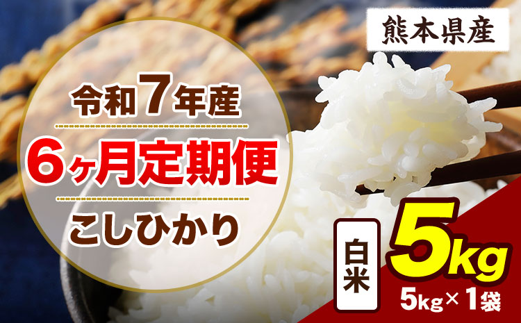 【6ヶ月定期便】令和7年産 定期便 こしひかり  5kg 白米 阿蘇 うぶやま 米 定期便 熊本県産 ふるさと納税 精米 ひの 米 こめ ふるさとのうぜい コシヒカリ コメ お米 おこめ《お申込み翌月から出荷》---ubuyama_lcl_778_mo6---