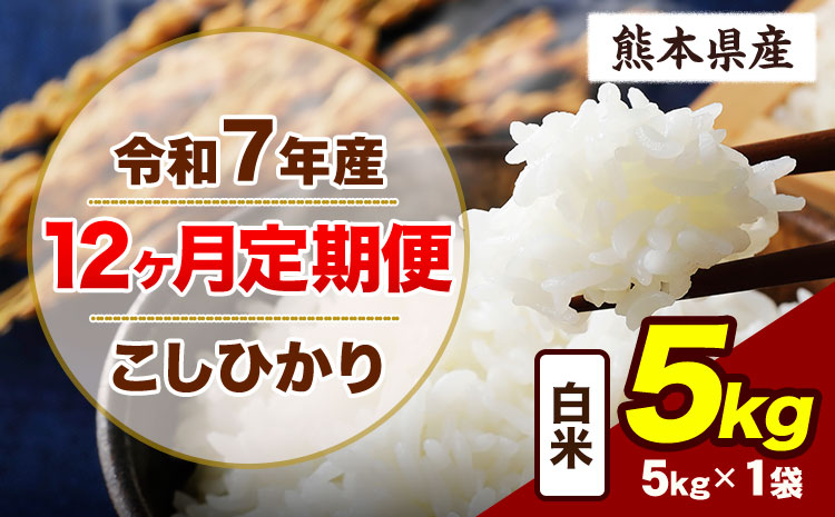【12ヶ月定期便】令和7年産 定期便 こしひかり  5kg 白米 阿蘇 うぶやま 米 定期便 熊本県産 ふるさと納税 精米 ひの 米 こめ ふるさとのうぜい コシヒカリ コメ お米 おこめ《お申込み翌月から出荷》---ubuyama_lcl_782_mo12---
