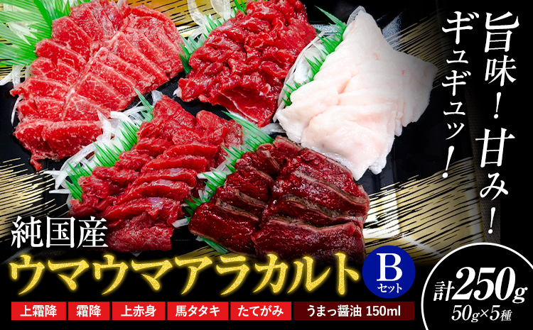 馬刺し 純国産 ウマウマ アラカルト Bセット（たてがみ） 専用醤油付き 50g ×5種 計250g 有限会社九州食肉産業《90日以内に出荷予定(土日祝除く)》熊本県 産山村 純国産 馬刺し 国産 熊本肥育 馬刺 馬肉 詰め合わせ 贈答用 ギフト お中元 お歳暮---ubuyama_kss_18_250g---