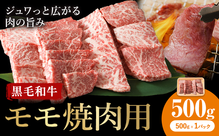 牛肉 くまもと 黒毛和牛 モモ 焼肉用 500g 熊本県畜産農業協同組合 【配送不可地域：離島】《60日以内に出荷予定(土日祝除く)》 熊本県 産山村 牛肉 くまもと黒毛和牛 焼肉 モモ肉 もも 赤身 BBQ---ubuyama_ktn_6_500g---