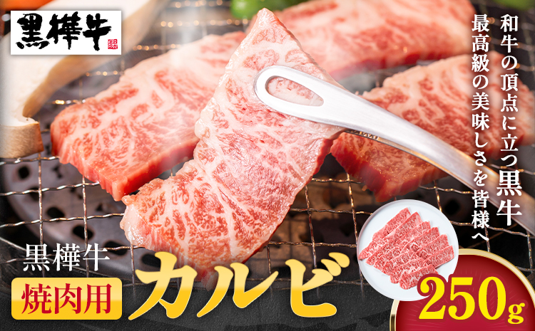 熊本県産黒毛和牛　黒樺牛焼肉用カルビ　250g 肉好き必見 黒毛和牛 黒樺牛 肉 牛肉 250g×1 焼肉 カルビ 国産 専門店 熊本県 取り寄せ 贈答 ギフト お中元 お歳暮 熊本 阿蘇 産山村 送料無料 杉本本店《60日以内に出荷予定(土日祝除く)》---ubuyama_sgm_12_250g---