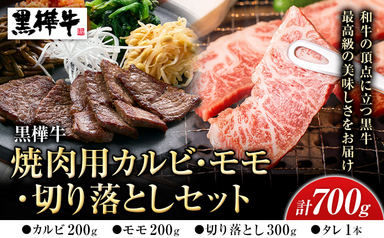 熊本県産黒毛和牛　黒樺牛焼肉用カルビ・モモ・切り落としセット　しょうゆタレ付 肉好き必見 黒毛和牛 黒樺牛 肉 牛肉 焼肉 カルビ モモ 切り落とし 国産 専門店 熊本県 贈答 ギフト お中元 お歳暮 熊本 阿蘇 産山村 杉本本店《60日以内に出荷(土日祝除く)》---ubuyama_sgm_17_set---
