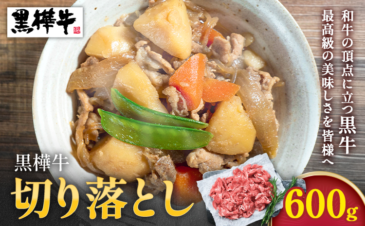 熊本県産黒毛和牛　黒樺牛切り落とし　600g 肉好き必見 黒毛和牛 黒樺牛 肉 牛肉 切り落とし 国産 専門店 熊本県 取り寄せ 贈答 ギフト お中元 お歳暮 熊本 阿蘇 産山村 送料無料 杉本本店《60日以内に出荷(土日祝除く)》---ubuyama_sgm_18_600g---