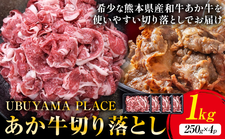 熊本県産 あか牛 切落し 1kg(250g×4パック) UBUYAMAPLACE《30日以内に出荷予定(土日祝除く)》あか牛 ユッケ 肉 小分け 牛肉 和牛---ubuyama_ubp_14_1kg---