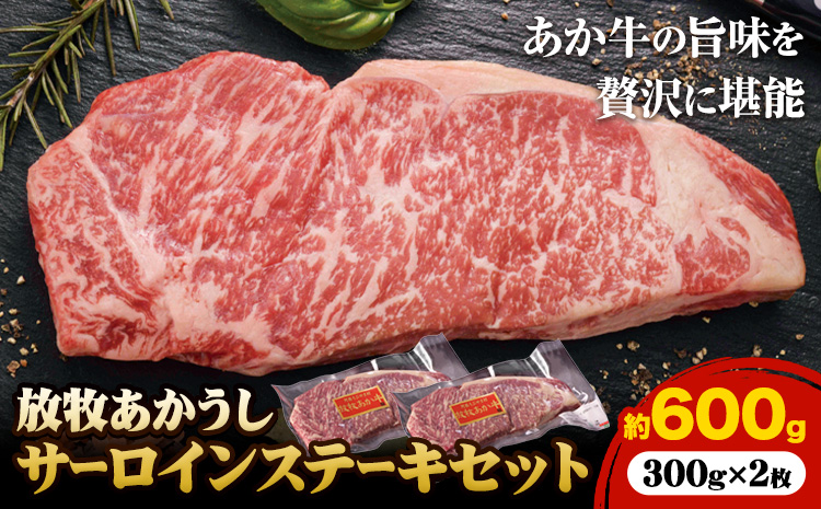 阿蘇うぶやま村の放牧あか牛サーロインステーキ 600g あか牛 ステーキ肉 300g 2枚 サーロイン ステーキ くまもとあか牛 赤身 和牛 牛肉 牛 国産 あか牛 焼肉正 人気 ギフト 贈り物 お中元 お歳暮 贈答 熊本 阿蘇 産山村 《60日以内に出荷(土日祝除く)》【配送不可地域あり】---ubuyama_yns_20_600g---