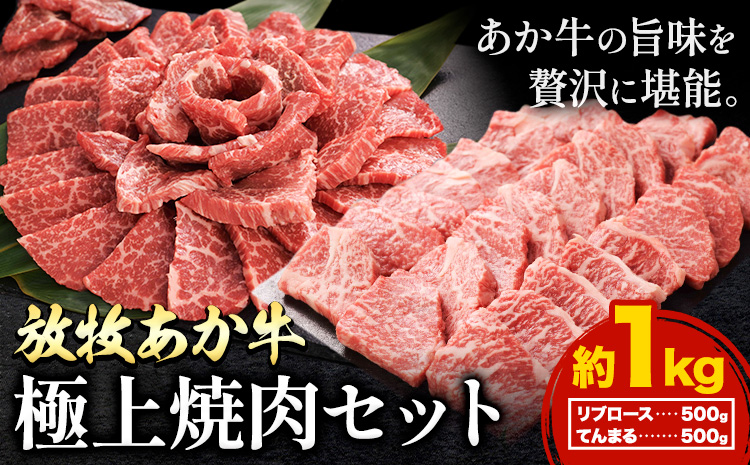 阿蘇うぶやま村の放牧あか牛極上焼肉セット1kg リブロース てんまる たっぷり BBQ 焼き肉 赤身 和牛 牛肉 牛 国産 あか牛 焼肉正 人気 ギフト 詰め合わせ 贈り物 お中元 お歳暮 贈答 熊本 阿蘇 産山村 送料無料《60日以内に出荷(土日祝除く)》【配送不可地域あり】---ubuyama_yns_21_1kg---