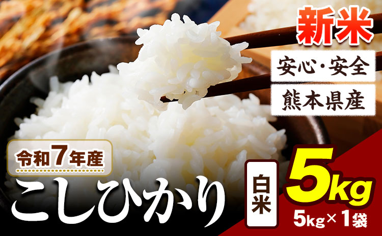 令和7年産 新米 こしひかり 5kg 《7-14日以内に出荷予定(土日祝除く)》令和7年産 熊本県産 ふるさと納税 新米 白米 精米 ひの 米 こめ ふるさとのうぜい コシヒカリ コメ お米 おこめ ---ubuyama_lcl_772_5kg---