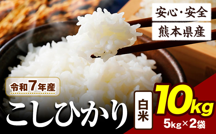 令和7年産  こしひかり 10kg 《7-14日以内に出荷予定(土日祝除く)》令和7年産 熊本県産 ふるさと納税  白米 精米 ひの 米 こめ ふるさとのうぜい コシヒカリ コメ お米 おこめ ---ubuyama_lcl_671_10kg---