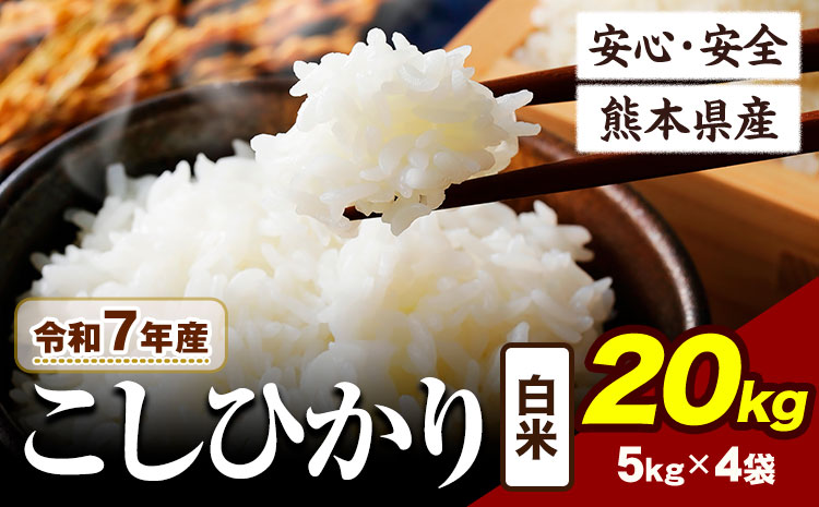 令和7年産  こしひかり 20kg 《7-14日以内に出荷予定(土日祝除く)》令和7年産 熊本県産 ふるさと納税  白米 精米 ひの 米 こめ ふるさとのうぜい コシヒカリ コメ お米 おこめ ---ubuyama_lcl_673_20kg---