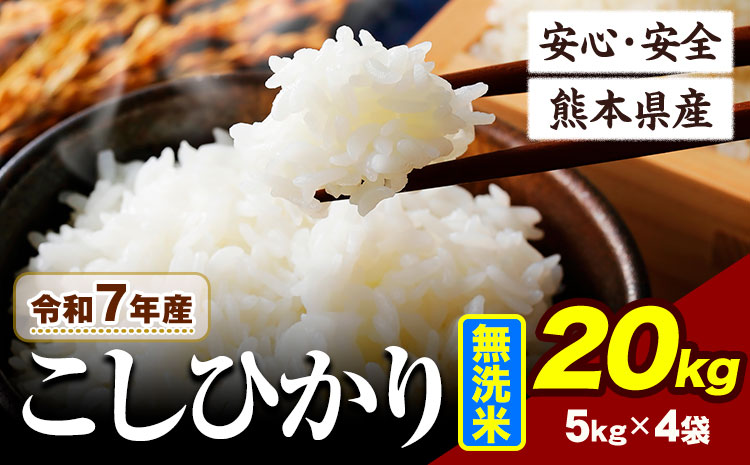 令和7年産  こしひかり 無洗米 20kg 《7-14日以内に出荷予定(土日祝除く)》阿蘇 うぶやま 米 熊本県産 ふるさと納税 米 こめ ふるさとのうぜい コシヒカリ コメ お米 おこめ---	ubuyama_lcl_677_20kg---