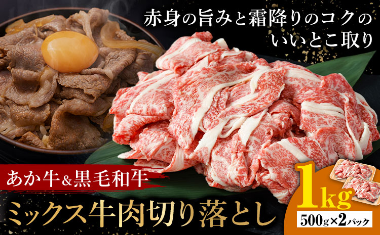 あか牛＆黒毛和牛ミックス牛肉切り落とし 1kg 熊本県畜産農業協同組合《60日以内に出荷予定(土日祝除く)》熊本県 産山村 くまもとあか牛 くまもと黒毛和牛 切り落とし 牛肉 肉 熊本県産 和牛 あか牛 黒毛和牛【配送不可地域あり】（離島）---ubuyama_ktn_16_1000g---