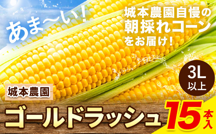 《先行受付開始》産地直送 朝採れスイートコーン ゴールドラッシュ 15本セット とうもろこし 特大 熊本 阿蘇 産山村 冷蔵 高糖度 夏野菜 トウモロコシ ギフト 今が旬 コーン 旬 お取り寄せ 人気 大人気 贈答 とうきび 送料無料《2025年7月中旬-8月中旬出荷》---ubuyama_jmn_4_15p---