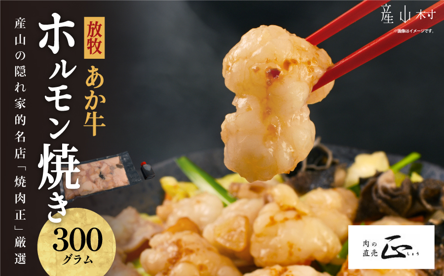 産山の隠れ家的名店「焼肉正」厳選 「放牧あか牛 ホルモン焼き」セット《60日以内に出荷予定（土日祝除く）》---ubuyama_yns_16_300g---