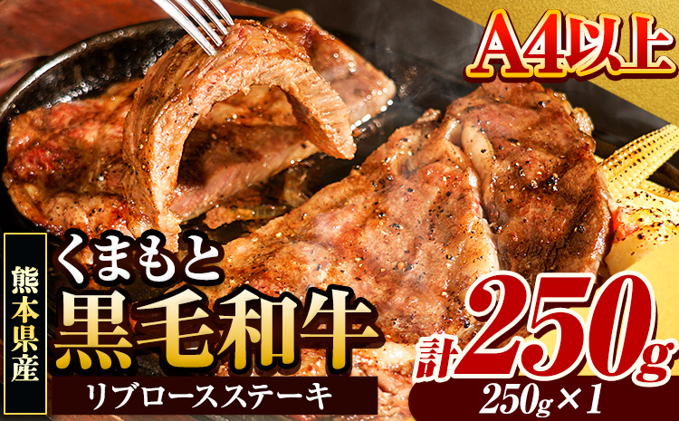 くまもと黒毛和牛 リブロースステーキ 250g 牛肉 冷凍 《30日以内に出荷予定(土日祝除く)》 くまもと黒毛和牛 黒毛和牛 冷凍庫 個別 取分け 小分け 個包装 ステーキ肉 にも リブロースステーキ---ubuyama_lcl_811_250g---