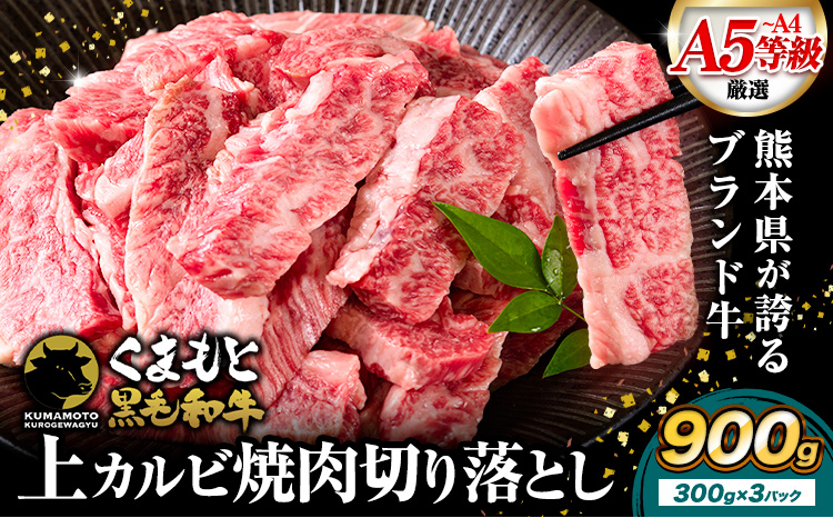 A4～A5等級 黒毛和牛 切り落とし 上 カルビ 焼肉 切り落とし 900g《30日以内に出荷予定(土日祝除く)》くまもと黒毛和牛 熊本県 産山村 上カルビ 焼肉用 黒毛和牛 焼肉 肉 お肉 和牛 A5 A4 300g 小分け---ubuyama_lcl_542_900g---