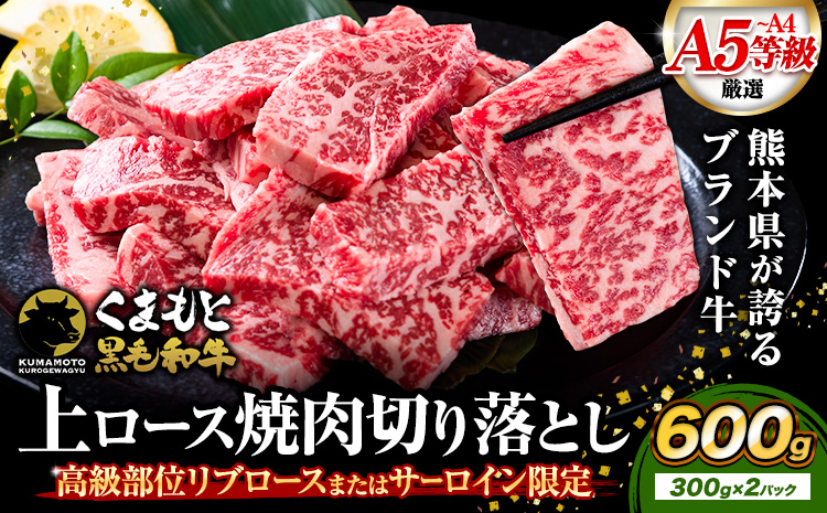 A4～A5等級 黒毛和牛 切り落とし 上 ロース 焼肉 切り落とし 600g《30日以内に出荷予定(土日祝除く)》くまもと黒毛和牛 熊本県 産山村 上ロース 焼肉用 黒毛和牛 焼肉 肉 お肉 和牛 A5 A4 300g リブロース サーロイン---ubuyama_lcl_544_600g---