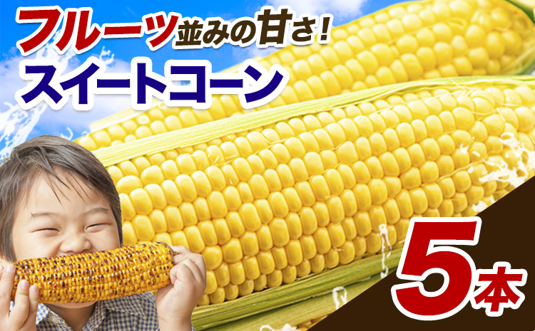 とうもろこし 極甘 スイートコーン ゴールドラッシュ 恵味 5本《7月中旬-8月上旬頃出荷予定》熊本県 産山村 野菜 夏野菜 コーン トウモロコシ 一番果 冷蔵 先行予約---ubuyama_lcl_124_5p---
