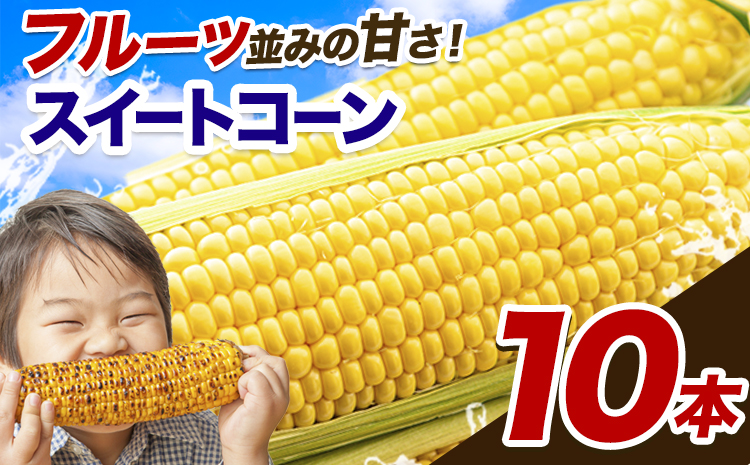 とうもろこし 極甘 スイートコーン ゴールドラッシュ 恵味 10本《7月中旬-8月上旬頃出荷予定》熊本県 産山村 野菜 夏野菜 コーン トウモロコシ 一番果 冷蔵 先行予約---ubuyama_lcl_125_10p--
