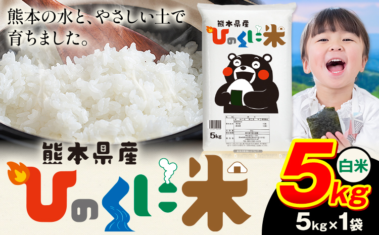 白米 ひのくに米 5kg 《7-14日以内に出荷予定(土日祝除く)》 食品 米 こめ コメ 熊本県産 ふるさと納税 お米 おこめ 熊本---ubuyama_lcl_756_5kg---