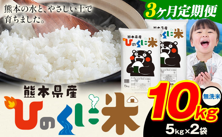 【3ヶ月定期便】 無洗米 ひのくに米 10kg 《お申込み翌月から出荷》 食品 米 こめ コメ 熊本県産 ふるさと納税 お米 おこめ 熊本---ubuyama_lcl_627_mo3---