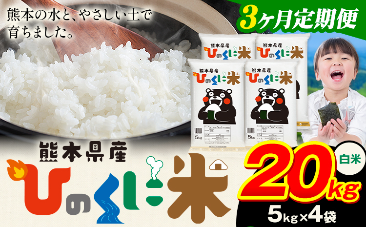【3ヶ月定期便】 白米 ひのくに米 20kg 《お申込み翌月から出荷》 食品 米 こめ コメ 熊本県産 ふるさと納税 お米 おこめ 熊本---ubuyama_lcl_625_mo3---