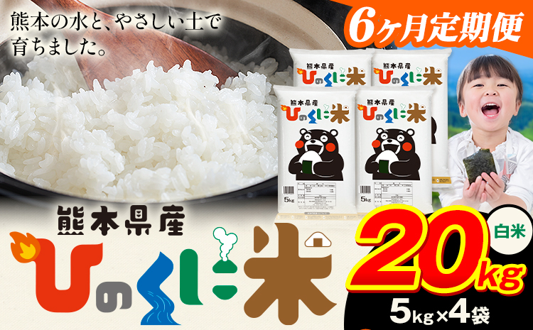 【6ヶ月定期便】 白米 ひのくに米 20kg 《お申込み翌月から出荷》 食品 米 こめ コメ 熊本県産 ふるさと納税 お米 おこめ 熊本---ubuyama_lcl_633_mo6---