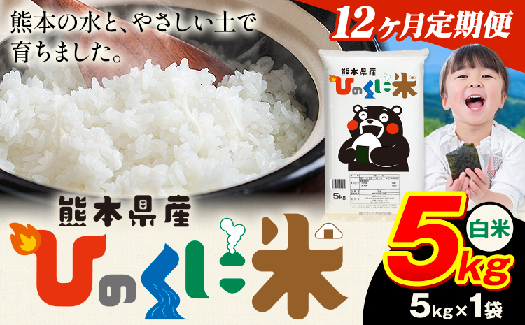 【12ヶ月定期便】 白米 ひのくに米 5kg 《お申込み翌月から出荷》 食品 米 こめ コメ 熊本県産 ふるさと納税 お米 おこめ 熊本---ubuyama_lcl_766_mo12---