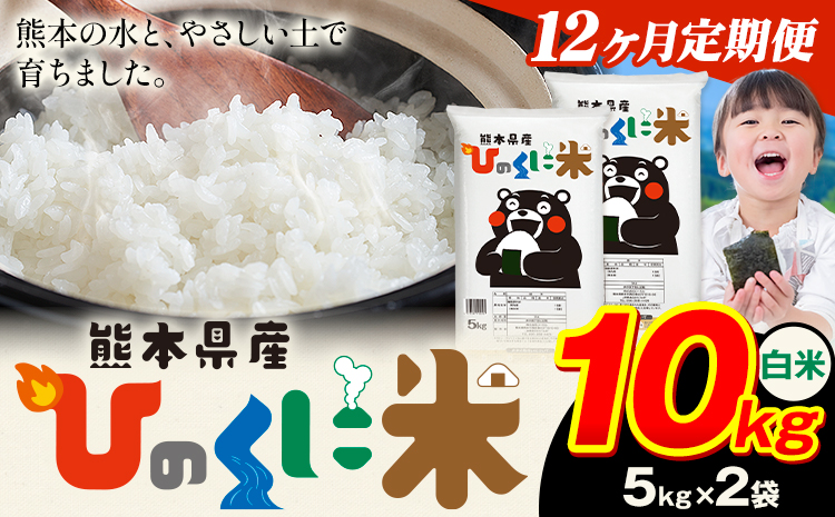 【12ヶ月定期便】 白米 ひのくに米 10kg 《お申込み翌月から出荷》 食品 米 こめ コメ 熊本県産 ふるさと納税 お米 おこめ 熊本---ubuyama_lcl_647_mo12---