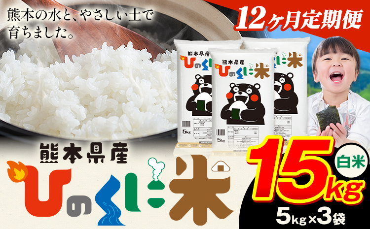 【12ヶ月定期便】 白米 ひのくに米 15kg 《お申込み翌月から出荷》 食品 米 こめ コメ 熊本県産 ふるさと納税 お米 おこめ 熊本---ubuyama_lcl_648_mo12---