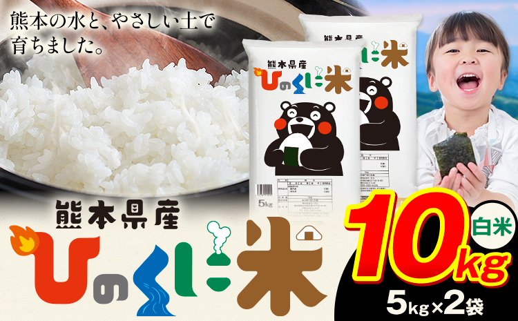 白米 ひのくに米 10kg 《7-14日以内に出荷予定(土日祝除く)》 食品 米 こめ コメ 熊本県産 ふるさと納税 お米 おこめ 熊本---ubuyama_lcl_599_10kg---