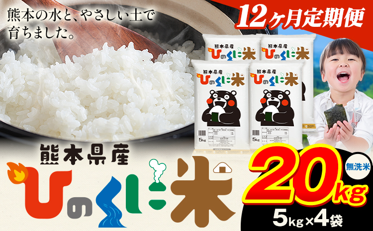 【12ヶ月定期便】 無洗米 ひのくに米 20kg 《お申込み翌月から出荷》 食品 米 こめ コメ 熊本県産 ふるさと納税 お米 おこめ 熊本---ubuyama_lcl_653_mo12---