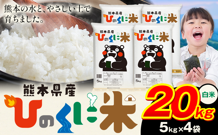 白米 ひのくに米 20kg 《7-14日以内に出荷予定(土日祝除く)》 食品 米 こめ コメ 熊本県産 ふるさと納税 お米 おこめ 熊本---ubuyama_lcl_601_20kg---