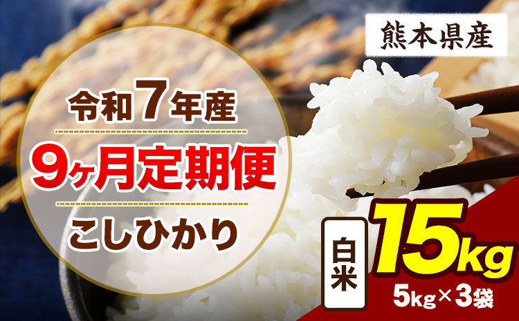 【9ヶ月定期便】令和7年産 定期便 こしひかり 15kg  白米 阿蘇 うぶやま 米 定期便 熊本県産 ふるさと納税 精米 ひの 米 こめ ふるさとのうぜい コシヒカリ コメ お米 おこめ《申込月の翌月から出荷開始》---ubuyama_lcl_712_mo9---