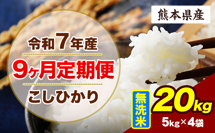 【9ヶ月定期便】令和7年産 定期便 こしひかり 20kg  無洗米 阿蘇 うぶやま 米 定期便 熊本県産 ふるさと納税 精米 ひの 米 こめ ふるさとのうぜい コシヒカリ コメ お米 おこめ《申込月の翌月から出荷開始》---ubuyama_lcl_717_mo9---