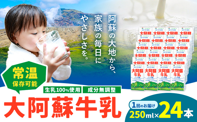 牛乳 常温保存可能 成分無調整 生乳100％使用 大阿蘇牛乳 紙パック 250ml×24本 合同会社たべたせいか《30日以内に出荷予定(土日祝除く)》熊本県 産山村 牛乳 乳飲料 乳性飲料 ドリンク 飲み物 飲料 セット ロングライフ 熊本県産---ubuyama_tbt_11_24p---