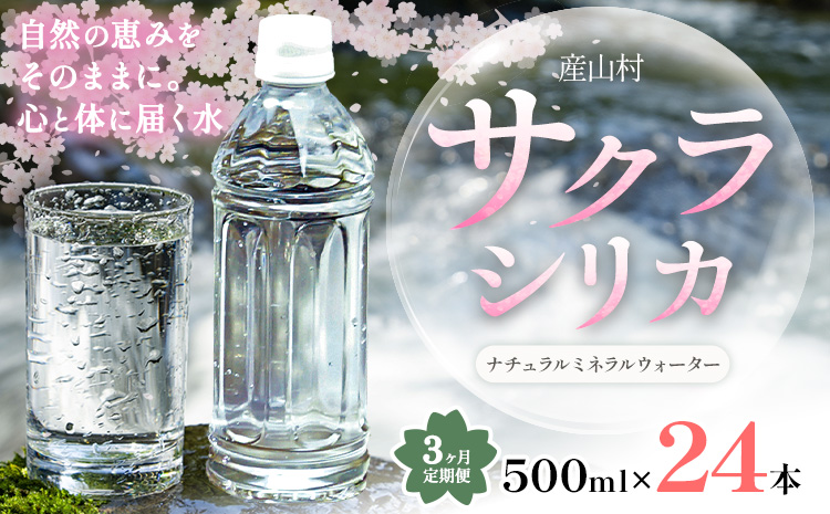 【3ヶ月定期便】サクラシリカ 500ml × 24本 みずの里《お申込み月の翌月から出荷開始》熊本県 阿蘇郡 産山村 ミネラルウォーター シリカ 水 天然水 鉱水 ラベルレス ラベルなし---ubuyama_mzs_12_24p_mo3---