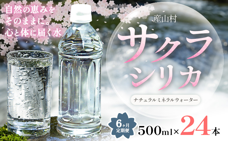 【6ヶ月定期便】サクラシリカ 500ml × 24本 みずの里《お申込み月の翌月から出荷開始》熊本県 阿蘇郡 産山村 ミネラルウォーター シリカ 水 天然水 鉱水 ラベルレス ラベルなし---ubuyama_mzs_13_24p_mo6---