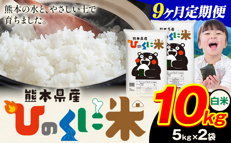 【9ヶ月定期便】 白米 ひのくに米 10kg 《申込月の翌月から出荷開始》 食品 米 こめ コメ 熊本県産 ふるさと納税 お米 おこめ 熊本---ubuyama_lcl_639_mo9---