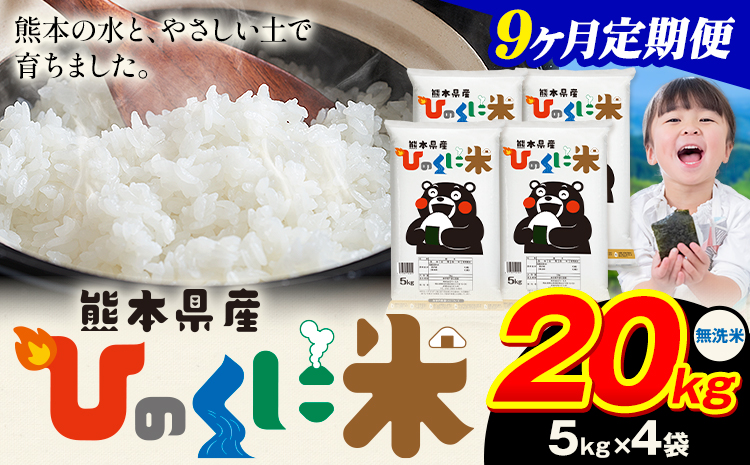 【9ヶ月定期便】 無洗米 ひのくに米 20kg 《申込月の翌月から出荷開始》 食品 米 こめ コメ 熊本県産 ふるさと納税 お米 おこめ 熊本---ubuyama_lcl_645_mo9---