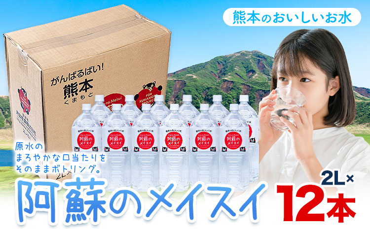 水 熊本 の おいしい お水 阿蘇のメイスイ 2L × 12本 2ケース 丸富産業《30日以内に出荷予定(土日祝除く)》熊本県 産山村 水 天然水 みず 熊本 飲料 熊本県 ミネラルウォーター ---ubuyama_mrt_26_12p---