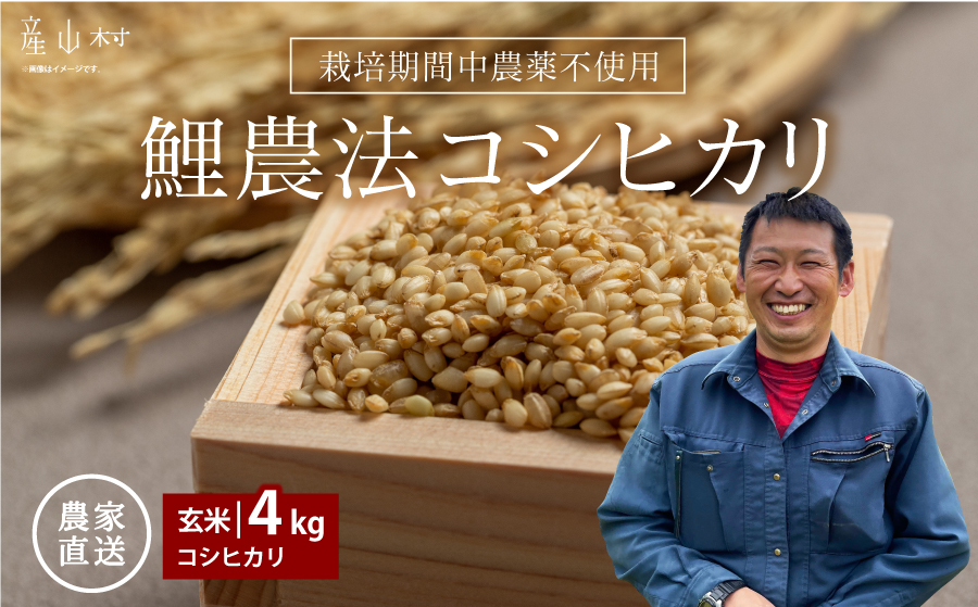 [令和6年産新米]鯉農法コシヒカリ(玄米)(コシヒカリ2kg×2袋)