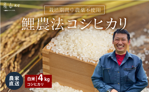 [令和6年産新米]鯉農法コシヒカリ(白米)(コシヒカリ2kg×2袋)