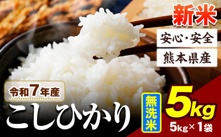 令和7年産 新米 こしひかり 無洗米 5kg [7-14日以内に出荷予定(土日祝除く)] 阿蘇 うぶやま 米 熊本県産 ふるさと納税 米 こめ ふるさとのうぜい コシヒカリ コメ お米 おこめ---ubuyama_lcl_674_5kg---