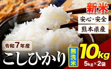 令和7年産 新米 こしひかり 無洗米 10kg [7-14日以内に出荷予定(土日祝除く)]阿蘇 うぶやま 米 熊本県産 ふるさと納税 米 こめ ふるさとのうぜい コシヒカリ コメ お米 おこめ---ubuyama_lcl_675_10kg---