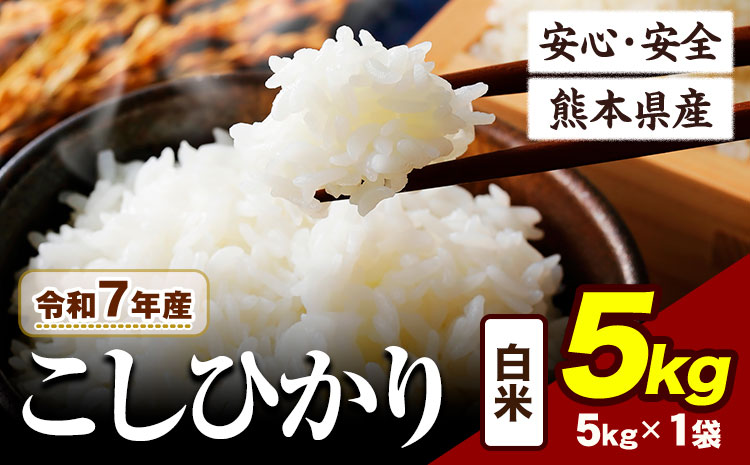 令和7年産 こしひかり 5kg [7-14日以内に出荷予定(土日祝除く)]令和7年産 熊本県産 ふるさと納税 白米 精米 ひの 米 こめ ふるさとのうぜい コシヒカリ コメ お米 おこめ ---ubuyama_lcl_772_5kg---