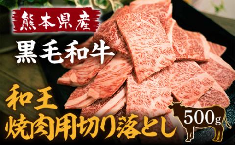 熊本県産 黒毛和牛 和王 サーロインステーキ 250g×2P A4 A5 厳選